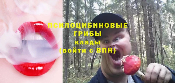 дурь Балахна