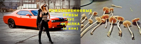 мескалин Михайловка
